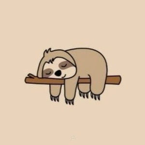 Meet your Posher, Joey